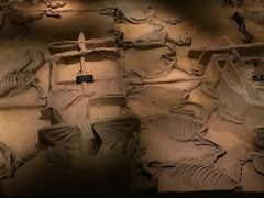 -洛阳周王城天子驾六博物馆