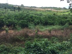 -侯臣咖啡文化村