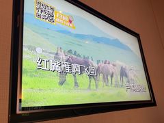 -星聚会KTV(南翔印象城MEGA店)