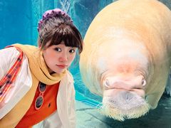 -波塞冬旅游度假区