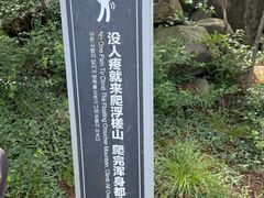 -浮槎山