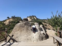 -大岭沟猕猴桃谷风景区