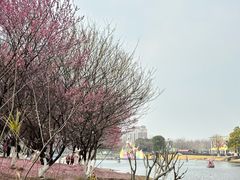 -武汉园博园(武汉自然博物馆)