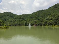 -广州白江湖森林公园