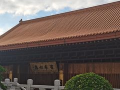 -深圳仙湖植物园