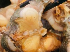旱蒸剑齿鱼-桂客膳房·珍品堂