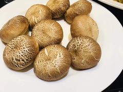 -十八棵（老龙井）御茶园(老龙井店)