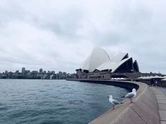 -悉尼歌剧院