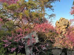 -杭州植物园