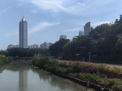 -万绿园