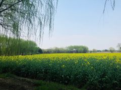 -长兴太湖图影湿地文化园