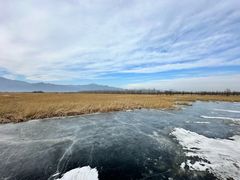 -野鸭湖国家湿地公园