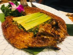 -紫滇源云南生态菜(丹凤街店)