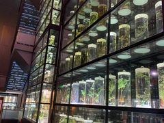 -广东中医药博物馆
