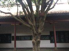-石钟山