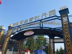 -洛阳郁金香牡丹园