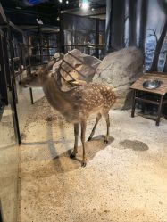 -酷嗒动物文化乐园(cutezoo西溪乐天城店)