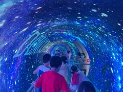 -龙岗区科技馆