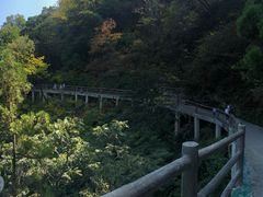 -少华山国家森林公园