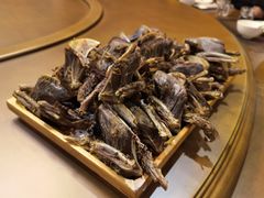 -食家鸽园