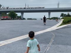 -宝安西湾红树林湿地公园