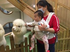 -藦茜花园宠物主题亲子互动体验馆(国顺东路店)