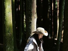 -武陵山森林公园