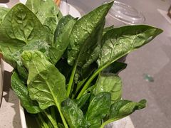 菠菜-海底捞火锅(壹悦城店)