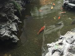 -白天鹅宾馆·流浮阁咖啡厅