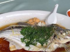 -八仔大富楼·河鲜(西江店)