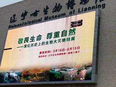 -辽宁古生物博物馆
