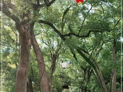 -蒋氏故居