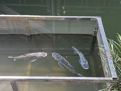 -山明水秀农庄