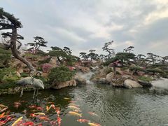 -罗红摄影艺术馆