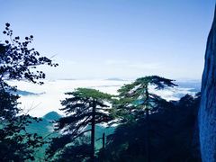 -妙道山国家森林公园