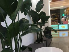 -树夏(金楠天街店)