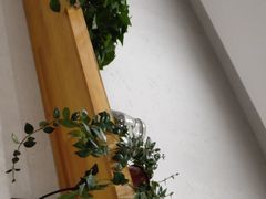 -秦香陕西食府(华贸天地店)