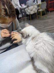 -WH日式美甲沙龙