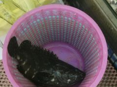 -渔中舟海鲜大排档(普陀沈家门店)