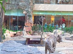 -白虎自助餐厅·真老虎·景观自助餐厅(广州长隆酒店)