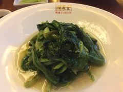 无公害油麦菜-全聚德(常州店)