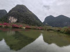 -靖西鹅泉风景区
