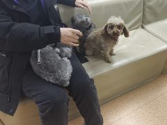 -宠颐生中康贝怡动物医院