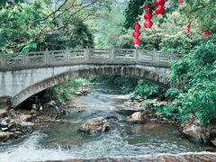 -广州市石门国家森林公园