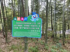 -莫干山风景区