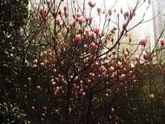 -重庆彩云湖湿地公园