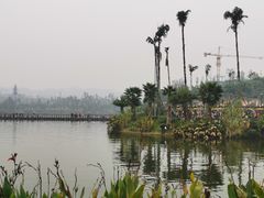 -枫香湖儿童公园