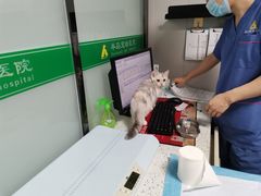 -半岛宠物医院24小时(科华中路店)