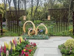 -上海共青森林公园