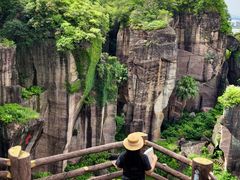 -广州莲花山旅游区